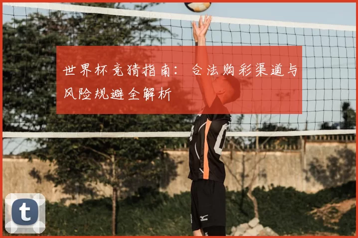 世界杯竞猜指南：合法购彩渠道与风险规避全解析