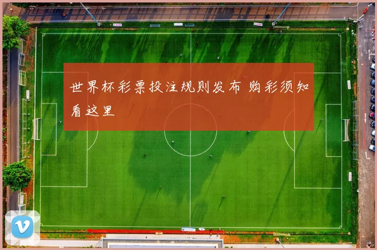 世界杯彩票投注规则发布 购彩须知看这里