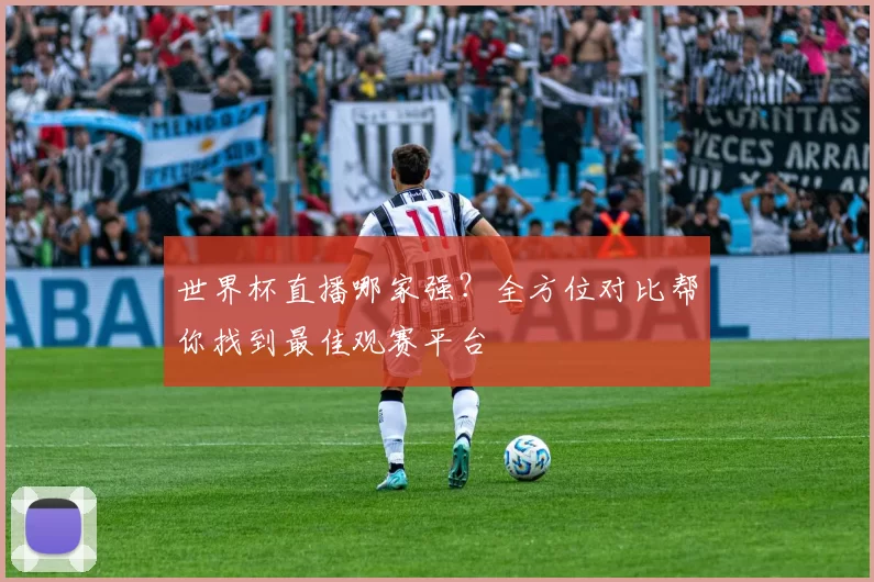 世界杯直播哪家强?全方位对比帮你找到最佳观赛平台