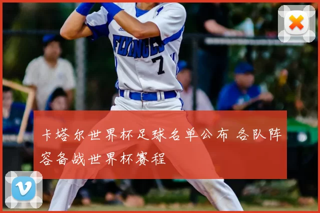 卡塔尔世界杯足球名单公布 各队阵容备战世界杯赛程