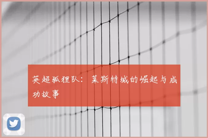 英超狐狸队：莱斯特城的崛起与成功故事