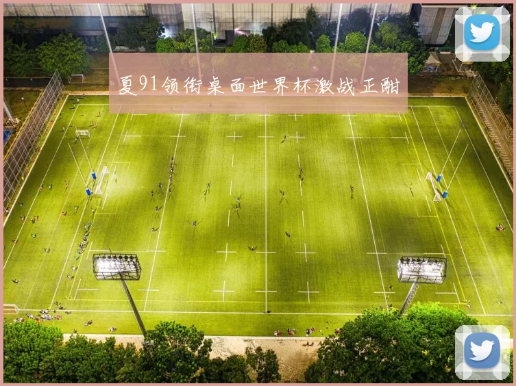 夏91领衔桌面世界杯激战正酣