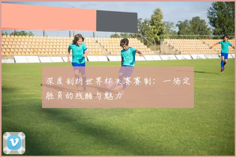 深度剖析世界杯决赛赛制:一场定胜负的残酷与魅力