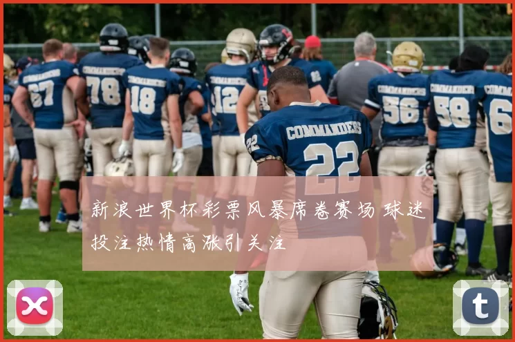 新浪世界杯彩票风暴席卷赛场 球迷投注热情高涨引关注