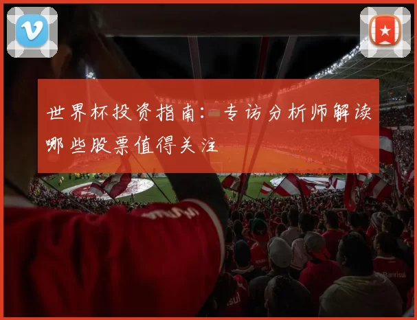 世界杯投资指南：专访分析师解读哪些股票值得关注