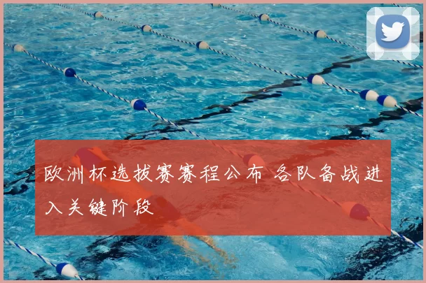 欧洲杯选拔赛赛程公布 各队备战进入关键阶段