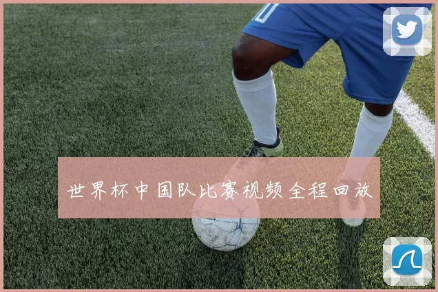 世界杯中国队比赛视频全程回放