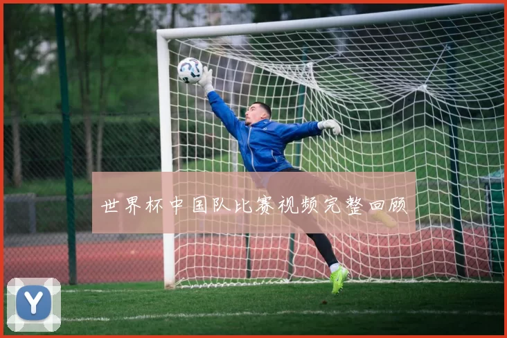 世界杯中国队比赛视频完整回顾