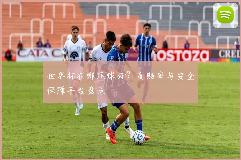 世界杯在哪压球好？高赔率与安全保障平台盘点