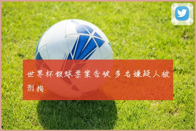 世界杯假球票案告破 多名嫌疑人被刑拘