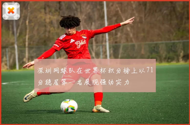 深圳网球队在世界杯积分榜上以71分稳居第一名展现强劲实力