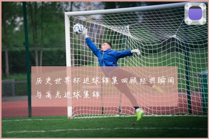 历史世界杯进球锦集回顾经典瞬间与高光进球集锦